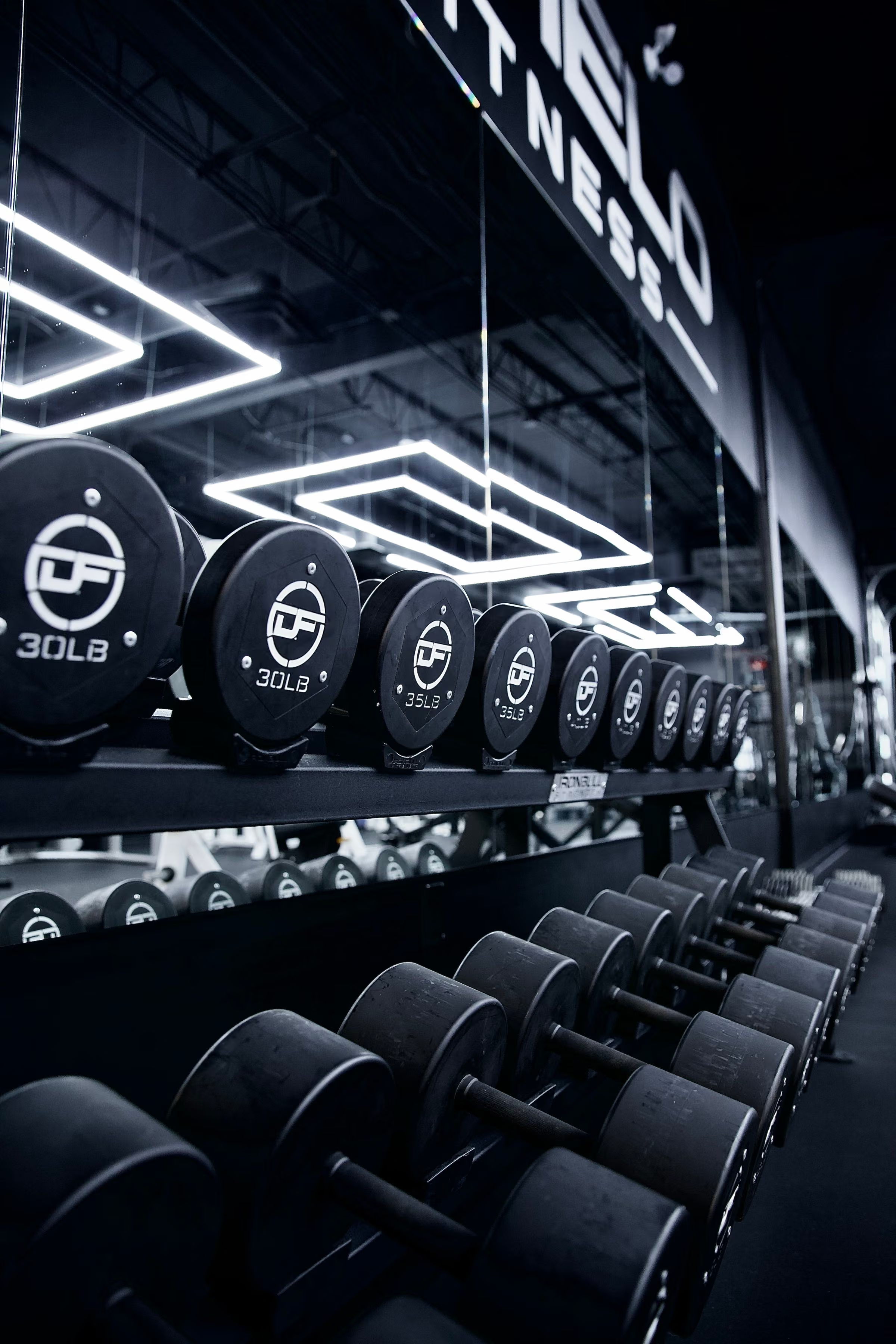 A row of dumbbells beneath geometric gym lights